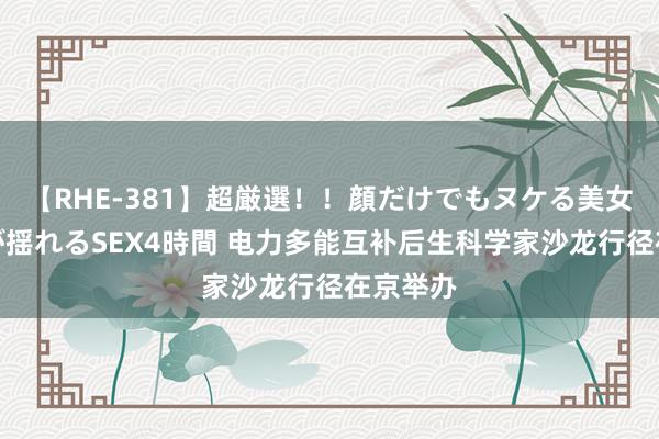 【RHE-381】超厳選！！顔だけでもヌケる美女の巨乳が揺れるSEX4時間 电力多能互补后生科学家沙龙行径在京举办