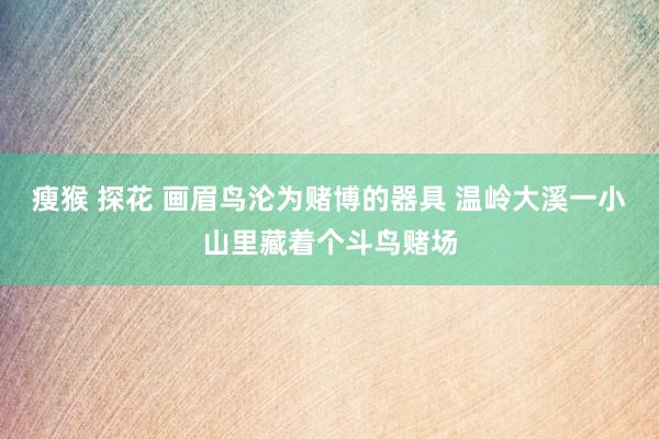 瘦猴 探花 画眉鸟沦为赌博的器具 温岭大溪一小山里藏着个斗鸟赌场