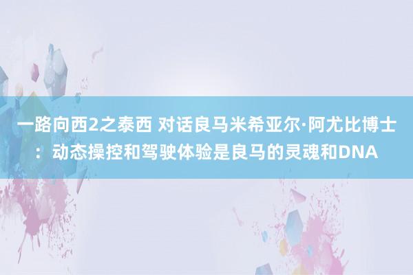 一路向西2之泰西 对话良马米希亚尔·阿尤比博士：动态操控和驾驶体验是良马的灵魂和DNA