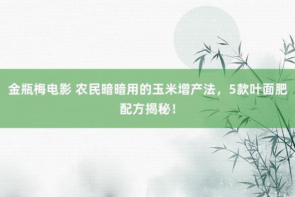 金瓶梅电影 农民暗暗用的玉米增产法，5款叶面肥配方揭秘！