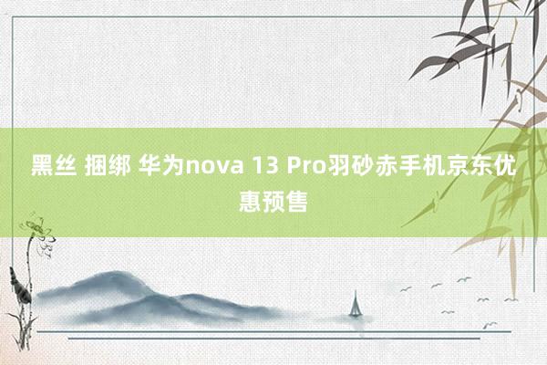 黑丝 捆绑 华为nova 13 Pro羽砂赤手机京东优惠预售