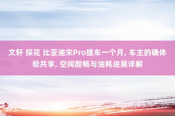 文轩 探花 比亚迪宋Pro提车一个月， 车主的确体验共享， 空间酣畅与油耗进展详解
